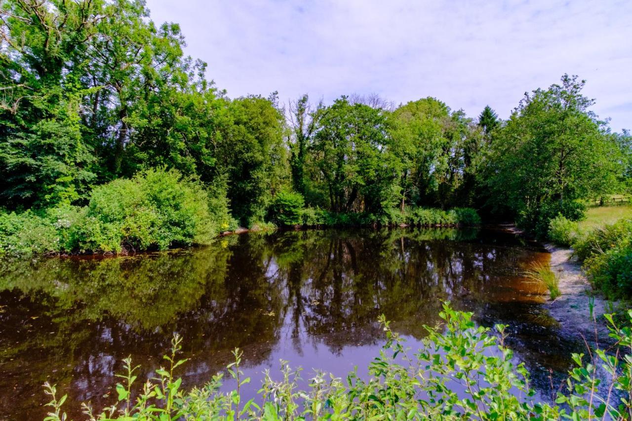 Lakeside Cottage Carmarthen Exterior foto